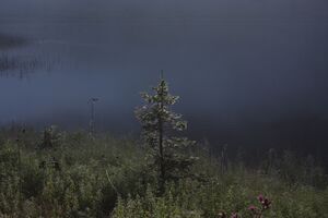 Bodensee 30251 2011-08-02.jpg