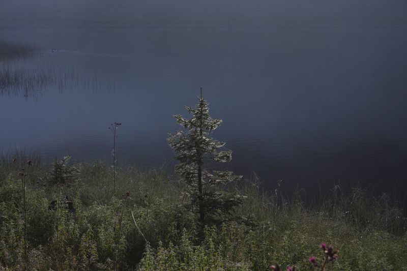 Datei:Bodensee 30251 2011-08-02.jpg