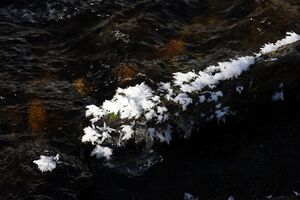 Bodenseerbach 26718 2014-01-01.jpg