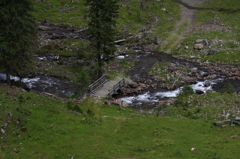 Datei:Bräualmbach kreuzsteg 29396 2016-07-05.jpg