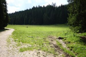 Eckangerl-viehbergalm 96909 2015-07-16.jpg