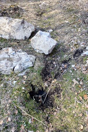 Felssturz luserfall-0032-2023-03-05.jpg