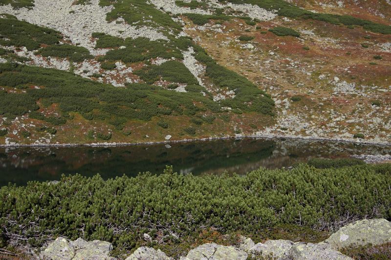 Datei:Grünsee-großsölk 1167 2013-09-25.jpg