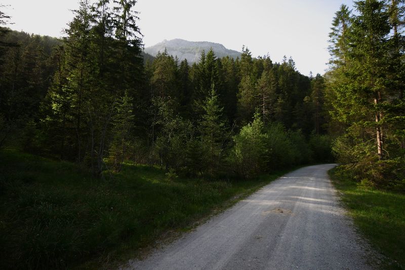 Datei:Gradenbachtal 58545 2014-05-22.jpg