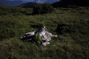 Gumpenkar 53235 2017-07-05.jpg