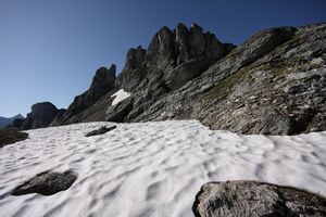 Kampzähne 9866 2010-07-11.jpg