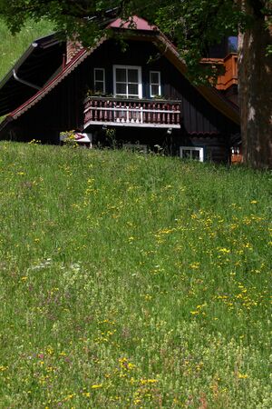 Lodenwalke Steiner 88892 2015-06-03.jpg