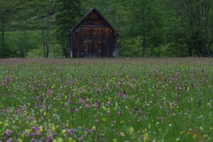 Preuneggtal 29374 2011-06-08.jpg