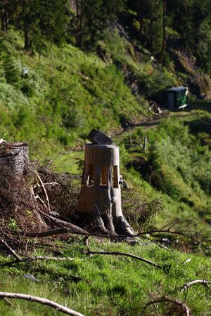 Salzlecke kolbalm 95780 2015-07-11.jpg