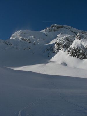 Schnabelkar 3751 2007-02-17.jpg