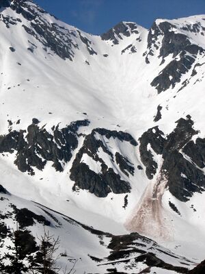 Schnabelkar 49404 2007-04-19.jpg