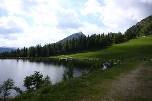 Speicherteich Reiteralmsee 65713 2014-06-27.jpg