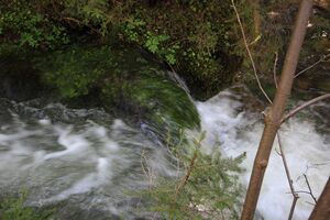 Strummern mühlreith 47222 2017-05-17.jpg