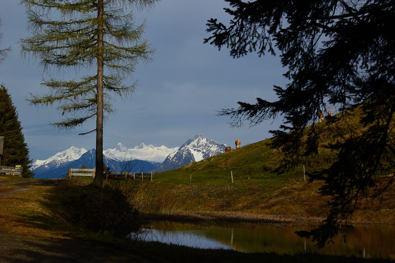 Datei:Stubeggsattel-0154-2021-05-24 07.38.02.jpg