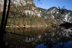 Toplitzsee 78176 2014-11-03.jpg