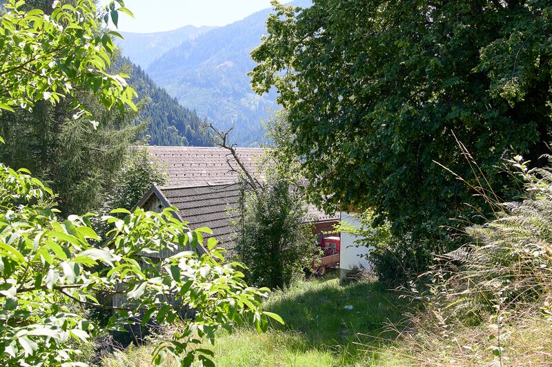 Datei:Vlg schröck schattenberg 48-0434-2023-08-11.jpg