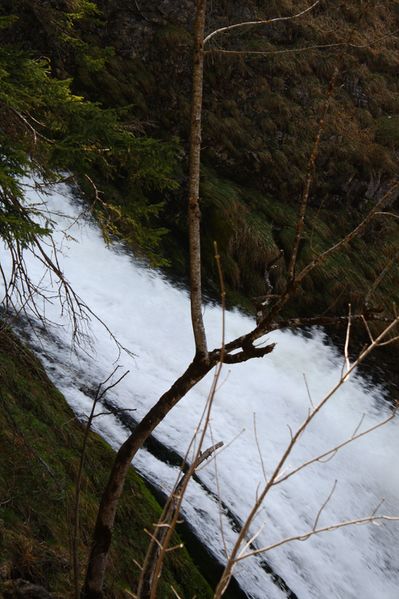 Datei:Wasserlochklamm palfau 70420 2018-04-23.jpg