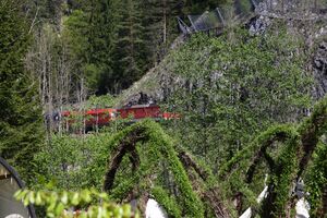 Weidendom gesäuse 56984 2014-05-05.jpg