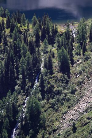 Wsf-obersee -hochlabeck 49595 2017-06-09.jpg