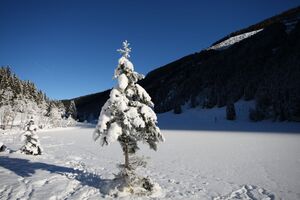 Bodensee 26496 2014-01-01.jpg