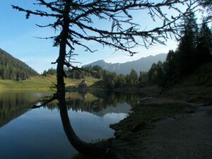 Duisitzkarsee 18165 2006-09-21.jpg