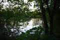 Höferteich 58723 2014-05-26.jpg