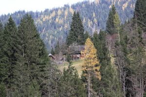 Hoferlehen mittereggtal 63486 2017-11-02.jpg