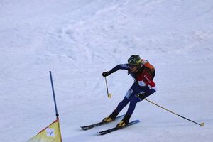 ISMF DAMEVIN ANSELME FRA Nr.33-0131-2024-03-02.jpg