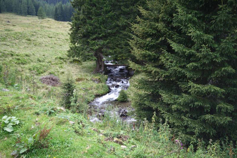 Datei:Knallbach knallalm 55600 2016-08-17.jpg