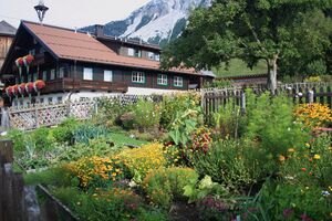 Mayerhofer-ramsau 1993 13-09-22.jpg