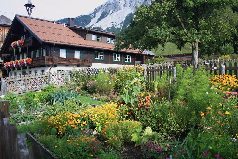 Datei:Mayerhofer-ramsau 1993 13-09-22.jpg