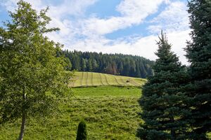 Michaelerberg Ost-0016-2023-08-14.jpg