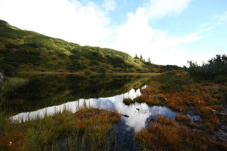 Nördl see vom griegelsee 80019 2014-09-16.jpg