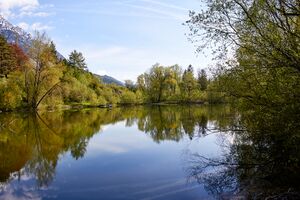 Ofenlegerteich-300056-2023-05-07.jpg