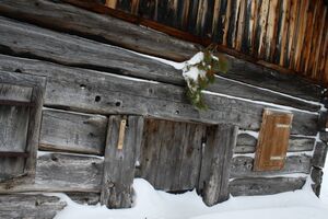 Rainhaberhütte-schildenwang 19453 2015-01-07.jpg
