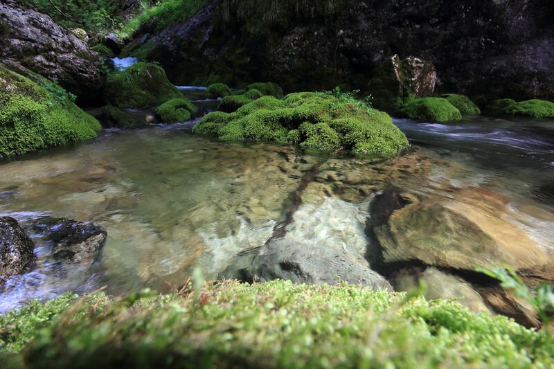 Datei:Zimitzbach grundlsee 77285 2018-06-04.jpg