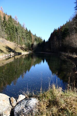 Almseeteich burgstaller 13931 2015-11-12.jpg