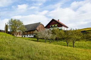 Bochsbichler vlg mittermoser-0117-2021-05-24 06.55.31.jpg