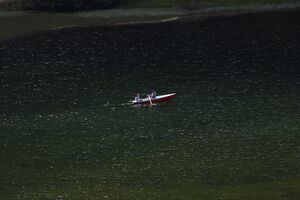 Bodensee seewigtal 63532 2014-06-21.jpg