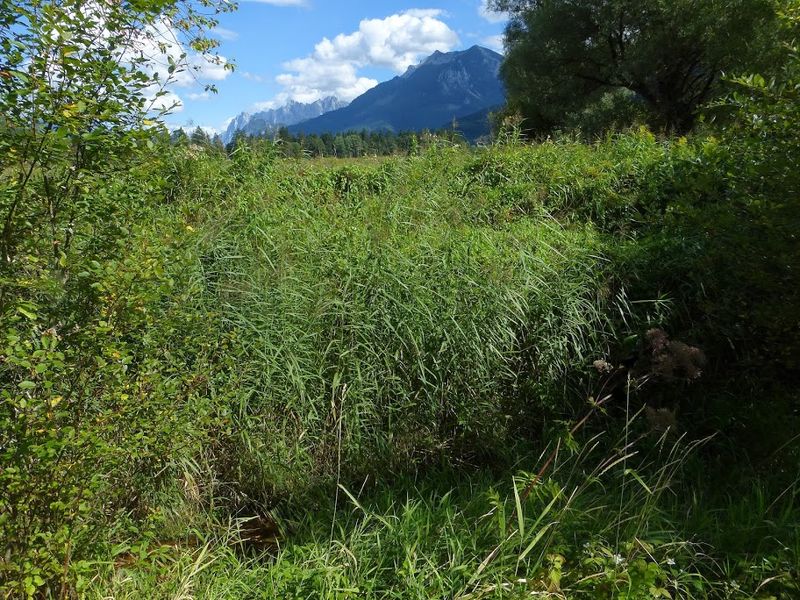 Datei:Ennsau frauenberg1230508.JPG