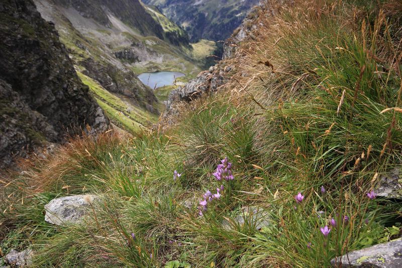 Datei:Falkenscharte graunock 57455 2017-08-22.jpg