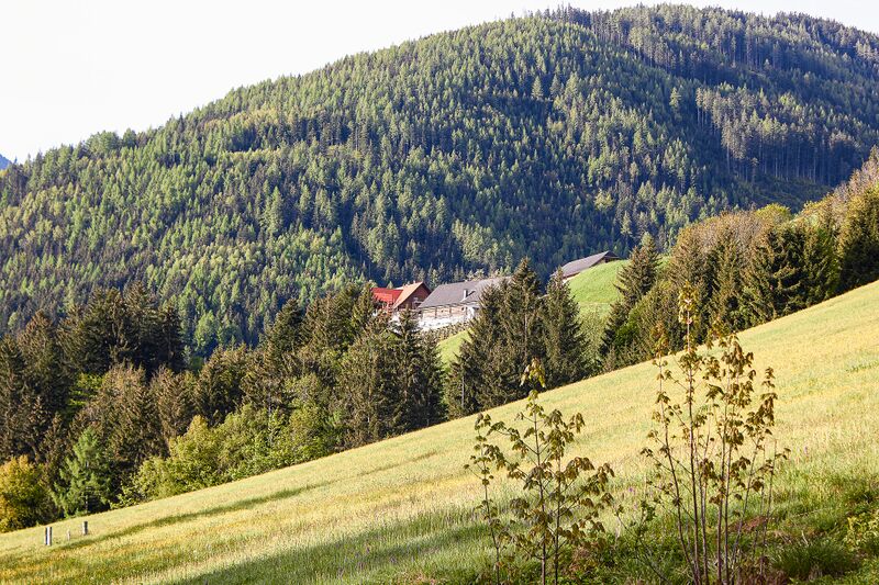 Datei:Kitzer vlg zach-2711-2021-05-24.jpg