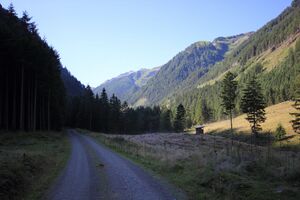 Kleinsölker Untertal 54340 2017-07-21.jpg