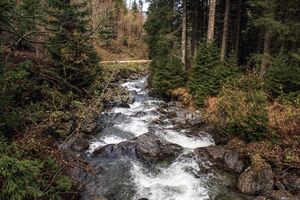 Kothüttenbach mittereggtal 63514 2017-11-02.jpg