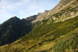 Lassachalm (Alm) 02527 2015-08-28.jpg