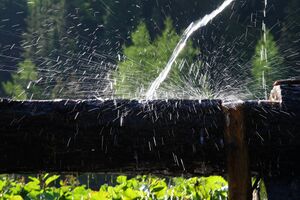 Neualm obertal 0650 2008-06-01.jpg