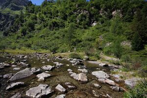 Obersee seewigtal 30327 2011-08-02.jpg