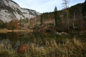 Ostersee Altaussee 79115 2014-11-15.jpg
