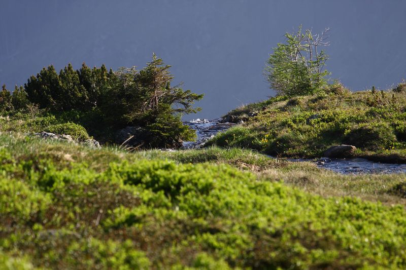 Datei:Sabinkar 89911 2015-06-08.jpg