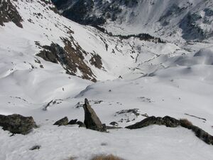 Schnabelkar 48681 2007-03-18.jpg